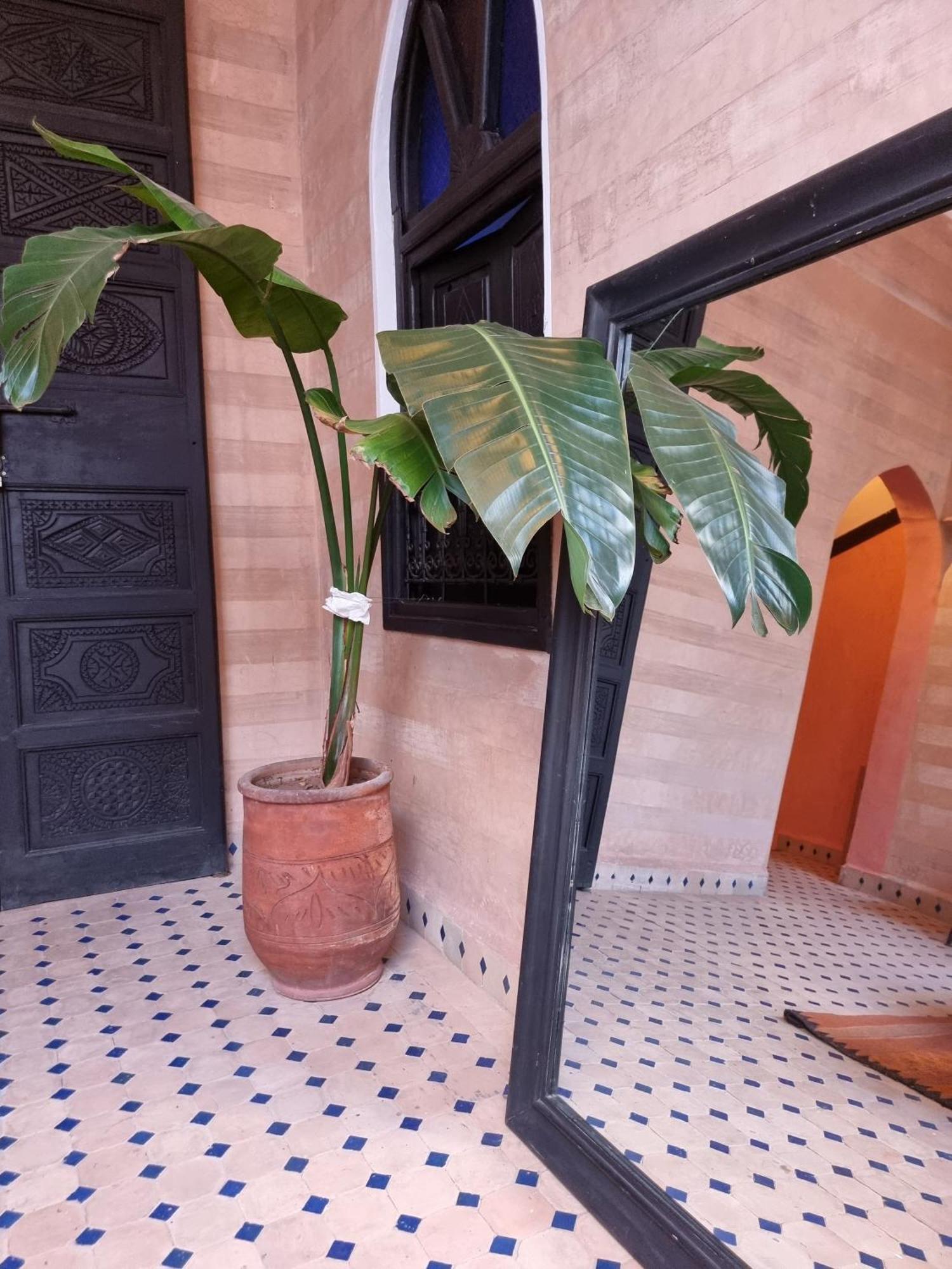 Riad Black Doors Μαρακές Εξωτερικό φωτογραφία